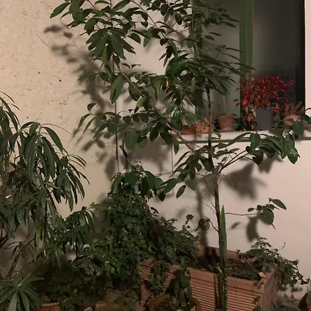 Alloggio in famiglia Maison Boinod